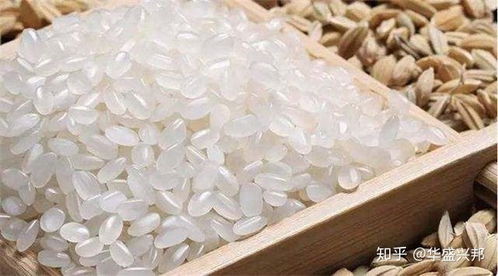 食品生產(chǎn)許可證注銷全流程指南