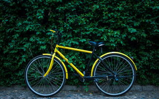 風(fēng)頭上的 共享自行車(chē) 一場(chǎng)看不到盈利的 豪賭