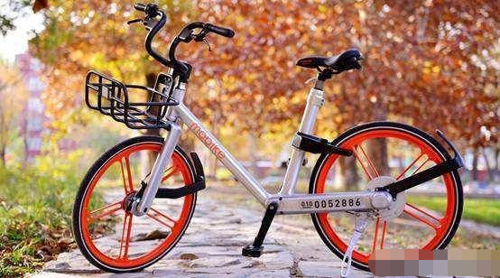 揭秘山東出行習(xí)慣 為何這些城市的自行車(chē)文化悄然消失